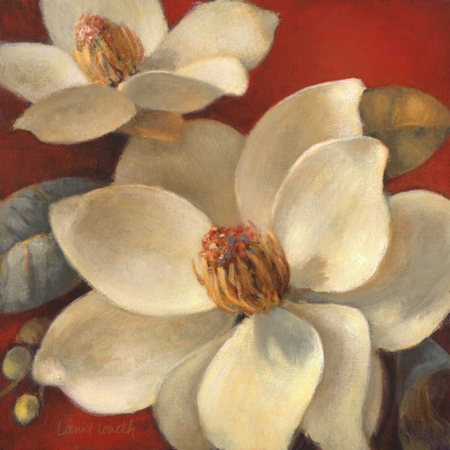 Magnolia Passion I