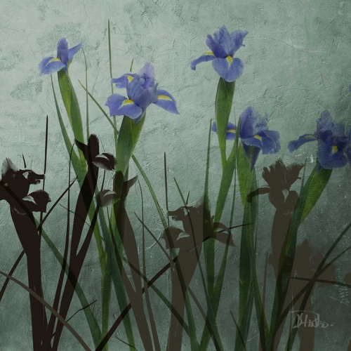 Blue Irises I