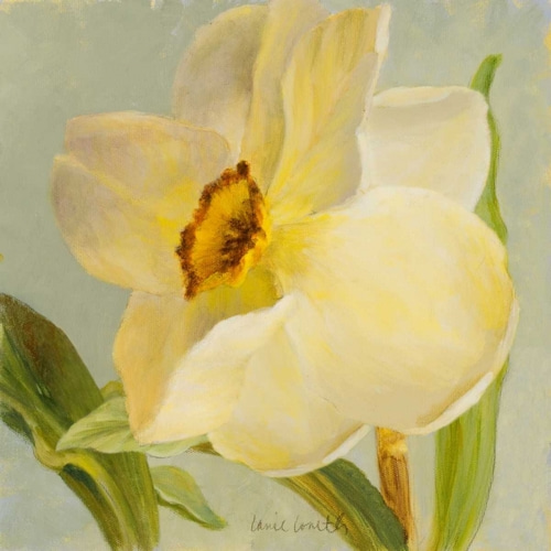 Daffodil Sky II