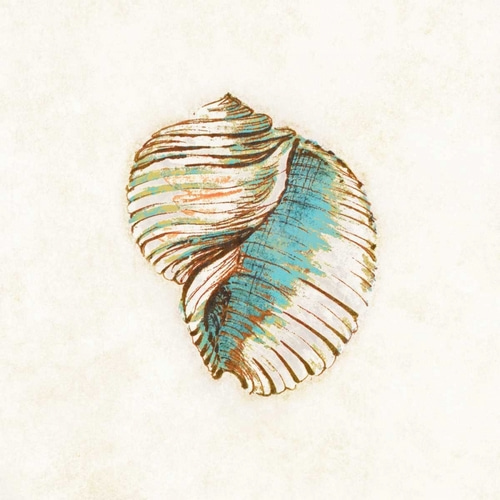 Coastal Teal Seashell I