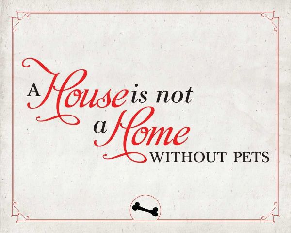 Home without Pets