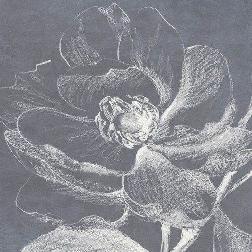 Loreth, Lanie 작가의 Neutral Floral Drawing II 작품
