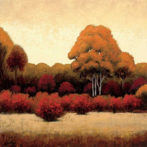 Autumn Forest I