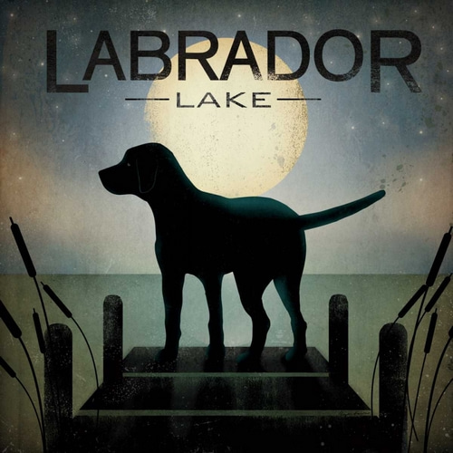Moonrise Black Dog - Labrador Lake