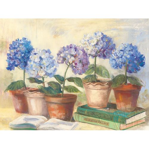 Rowan, Carol 아티스트의 Gardeners Hydrangeas 작품