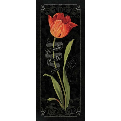 Tulipa Botanica II
