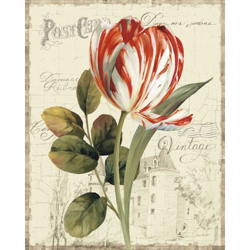 Garden View II - Red Tulip