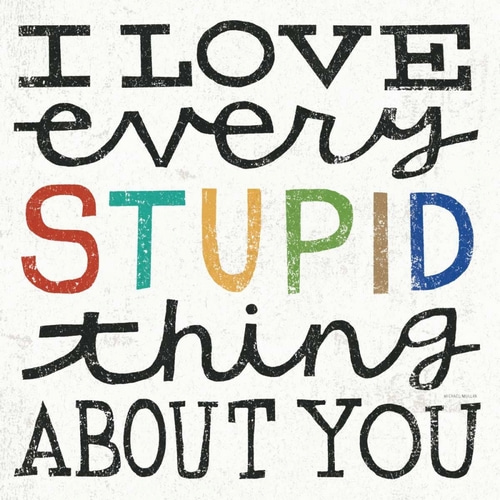 I Love Every Stupid Thing About You