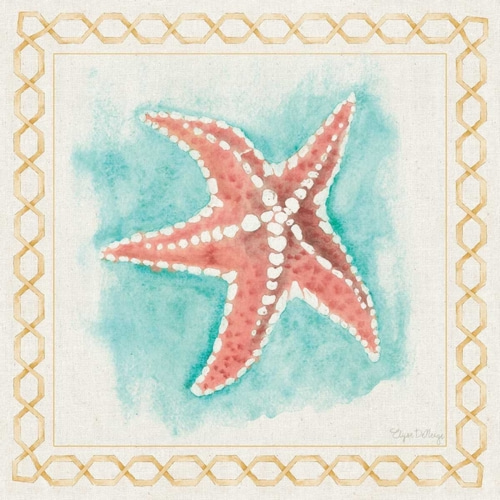 Coastal Mist Starfish