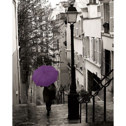Paris Stroll II Purple Umbrella