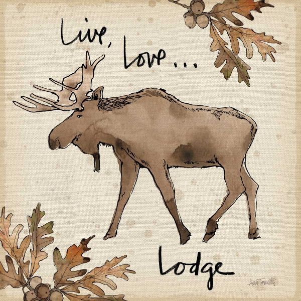 Lodge Life IV