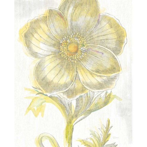 Belle Fleur Yellow II Crop