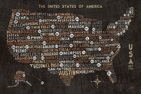 US City Map Black