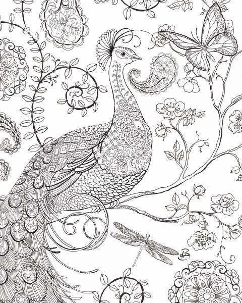 Color My World Ornate Peacock I crop