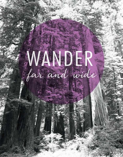 Wander Far and Wide