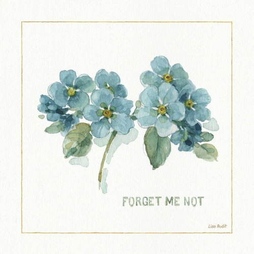 My Greenhouse Forget Me Not