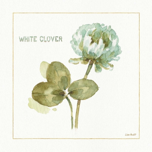 My Greenhouse White Clover
