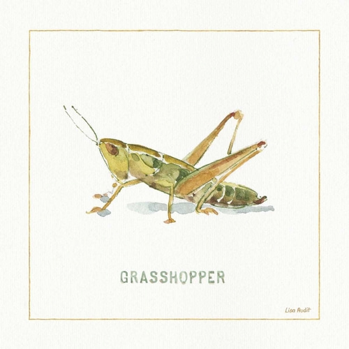 My Greenhouse Grasshopper