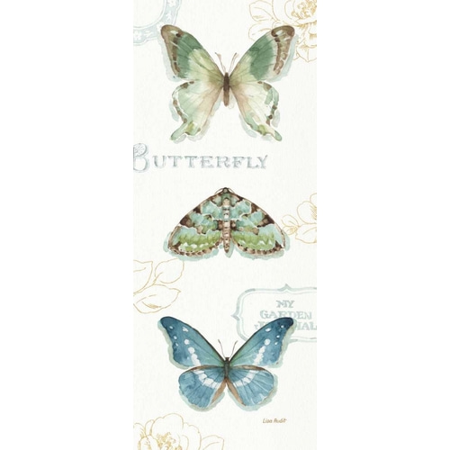 My Greenhouse Butterflies VI