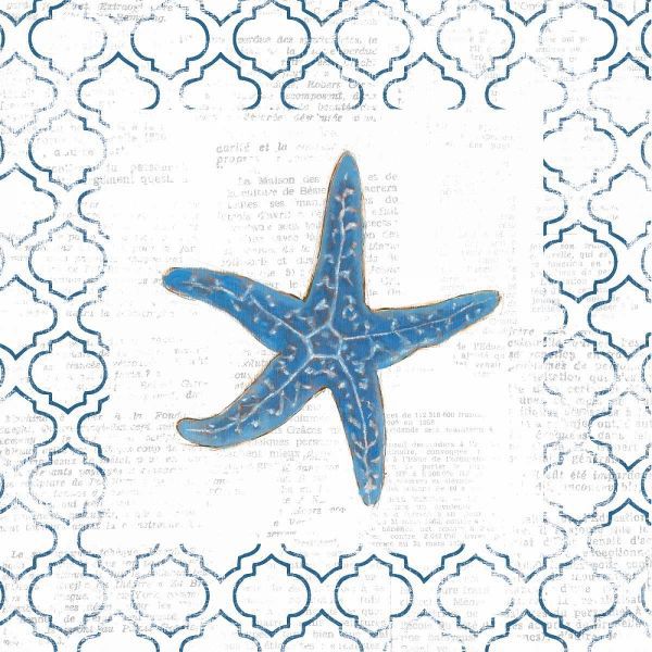 Navy Starfish on Newsprint