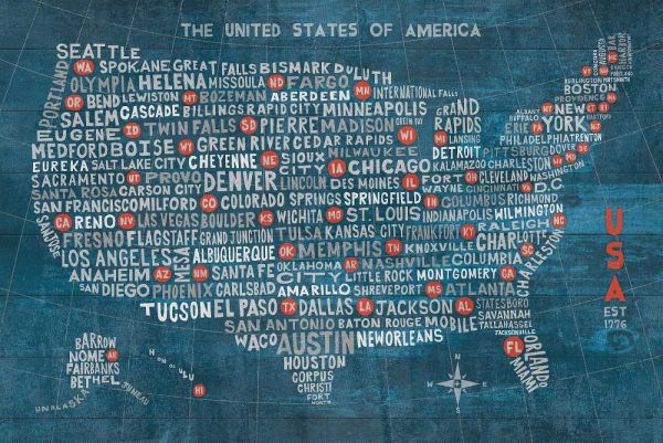 US City Map on Wood Blue