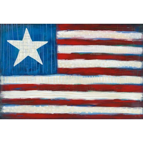 Modern Americana Flag