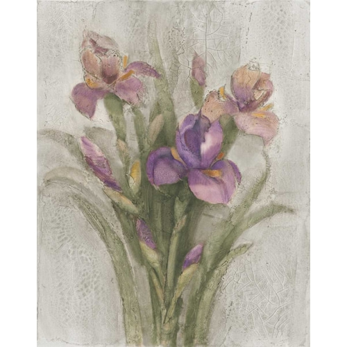 Purple Iris Garden on Grey