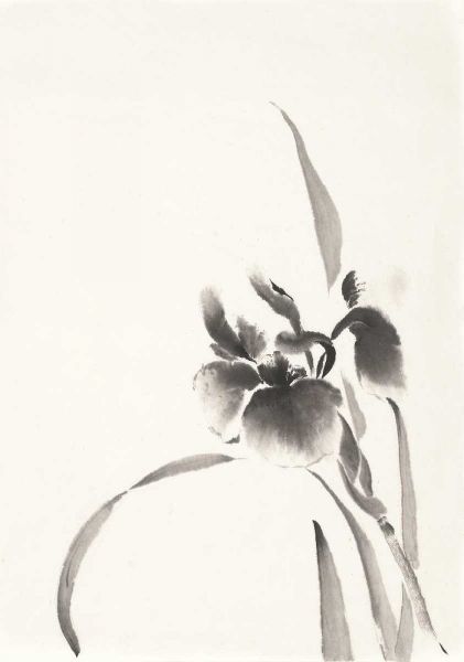 Paschke, Chris 아티스트의 Japanese Iris I작품입니다.