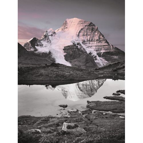 Majchrowicz, Alan 아티스트의 Mount Robson BW with Color작품입니다.