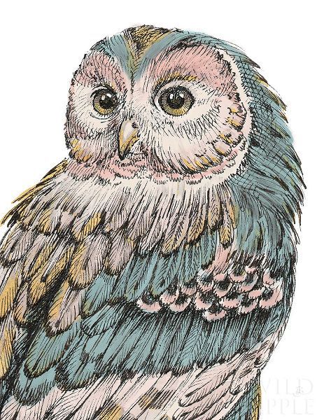 Beautiful Owls I Pastel