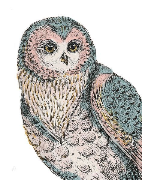 Beautiful Owls IV Pastel