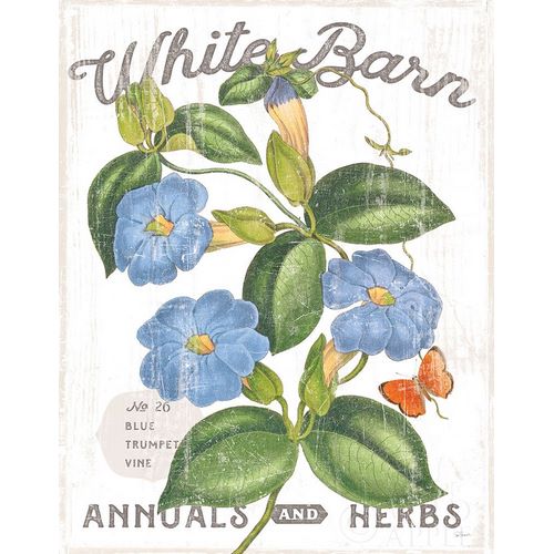White Barn Flowers II