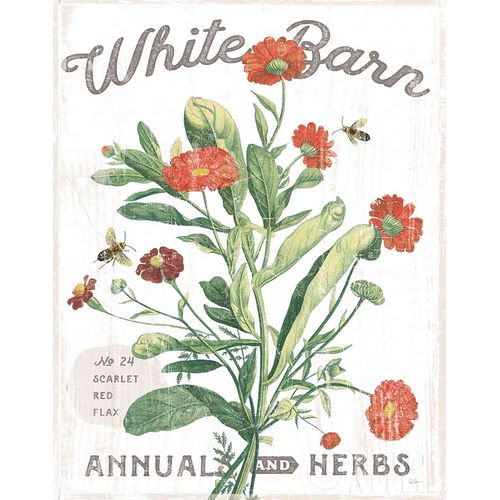 White Barn Flowers IV