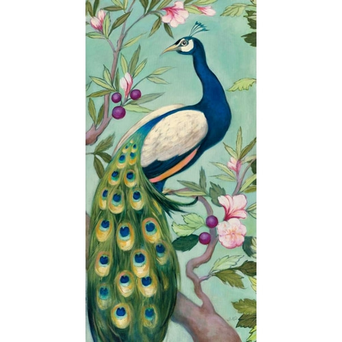 Pretty Peacock II