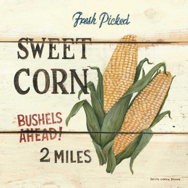 FreshPicked Sweet Corn