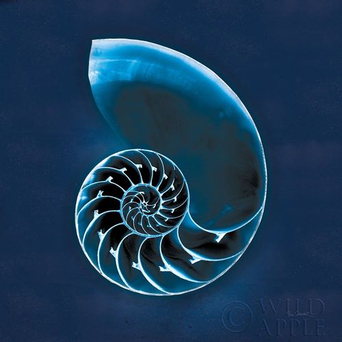 Cyanotype Sea II