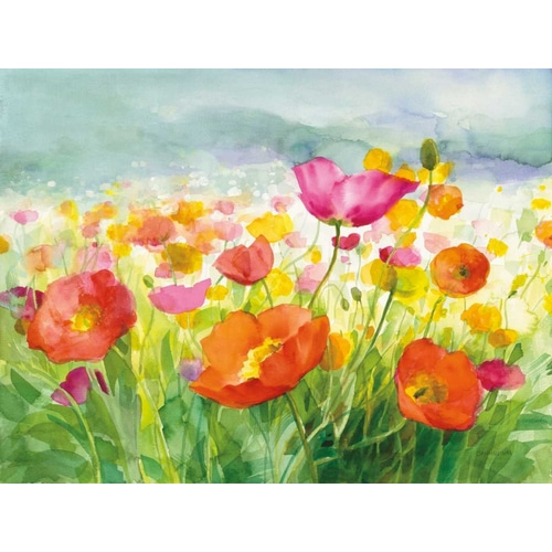 Meadow Poppies