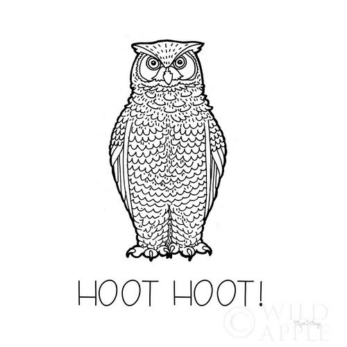 Color the Forest V Hoot Hoot