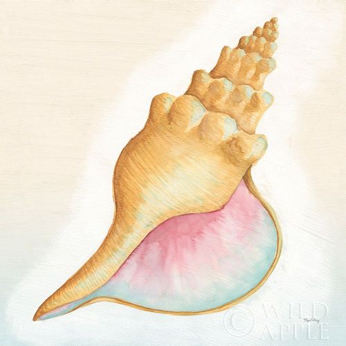 Boardwalk Conch