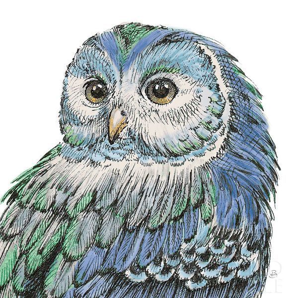 Beautiful Owls I Peacock Crop