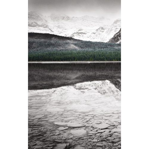 Waterfowl Lake Panel I BW with Color