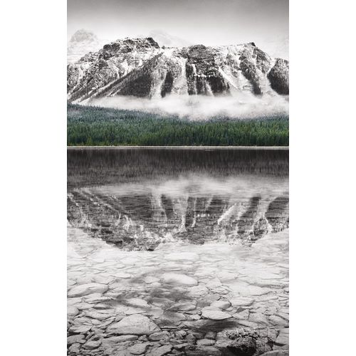 Waterfowl Lake Panel II BW with Color
