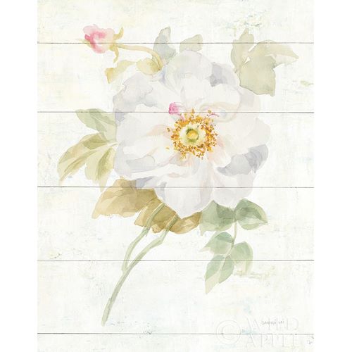 June Blooms III