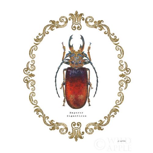 Adorning Coleoptera I