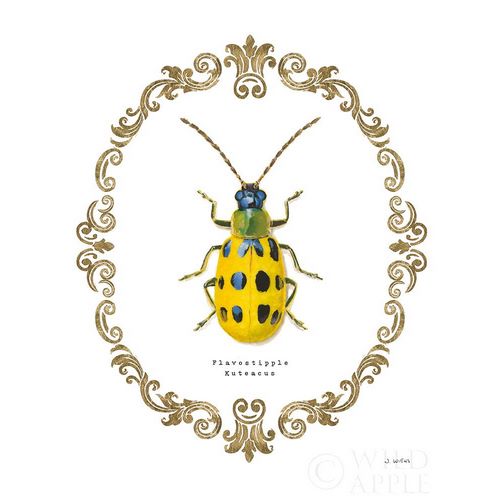 Adorning Coleoptera VII