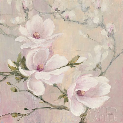Blushing Magnolias