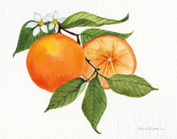 Citrus Garden V