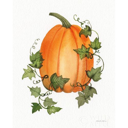 Pumpkin and Vines IV