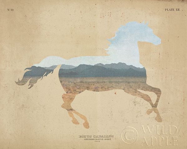 American Southwest Horse Distressed
