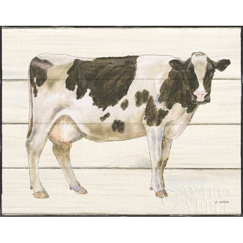 Country Cow VII